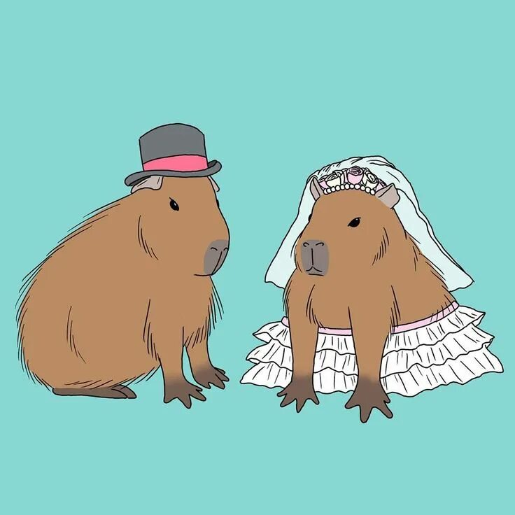 Капибара фото мультик Pin on CAPYBARA Cute rats, Cute animals, Capybara