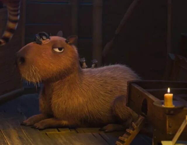 Капибара фото мультик Capybara Cartoon Movie Hotsell 5iveonline.com