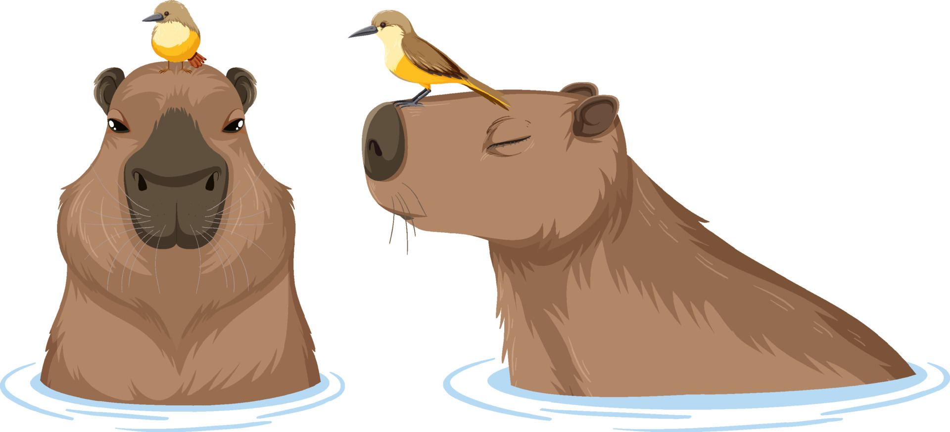 Капибара фото мультяшная и милая Set of different capybara in cartoon style 7002624 Vector Art at Vecteezy