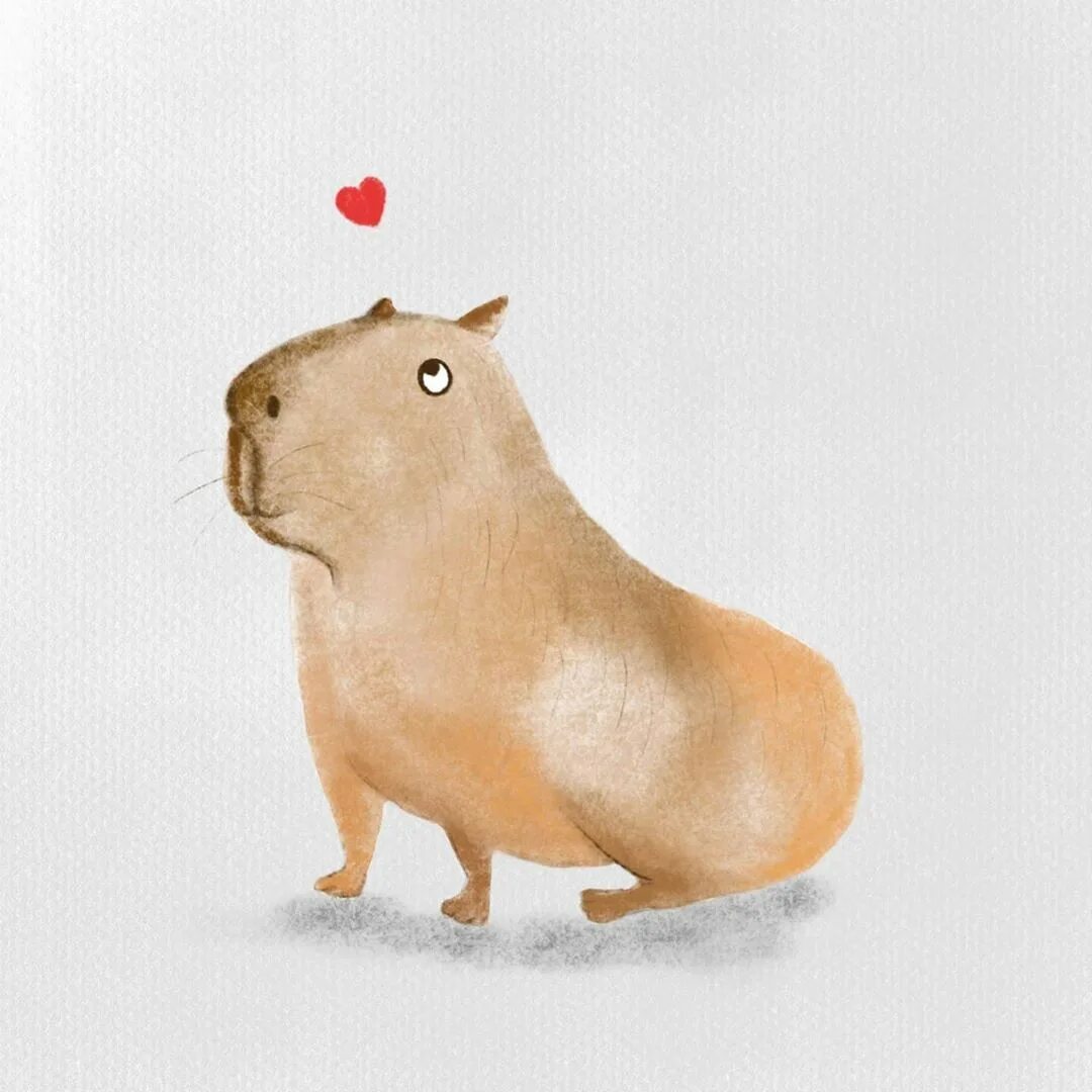 Капибара фото рисунок милый CAPYBARA panosundaki Pin Kapi