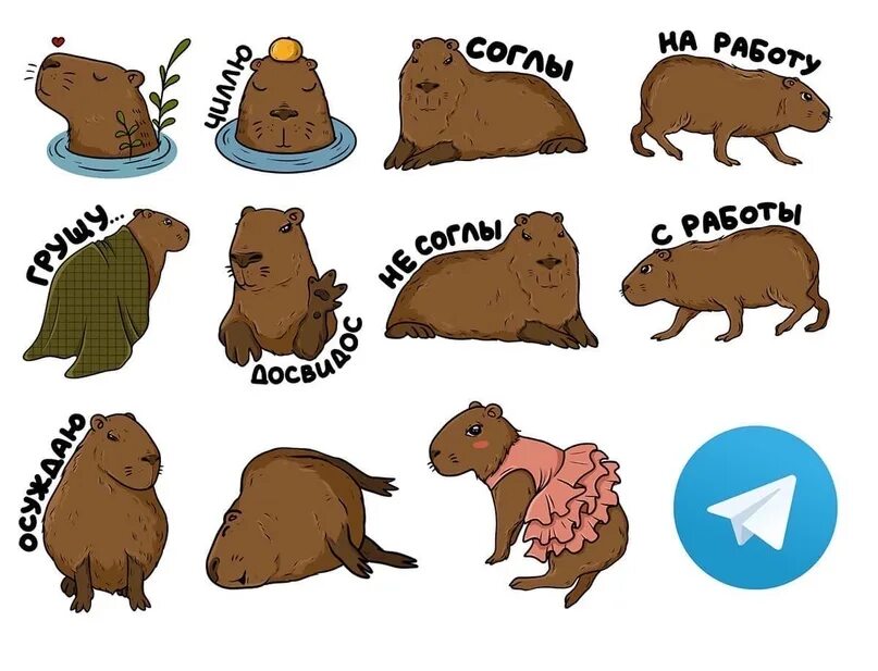 Капибара фото рисунок милый Стикеры с большой красивой Капибарой Капи #капибара #animals #capybara https://t