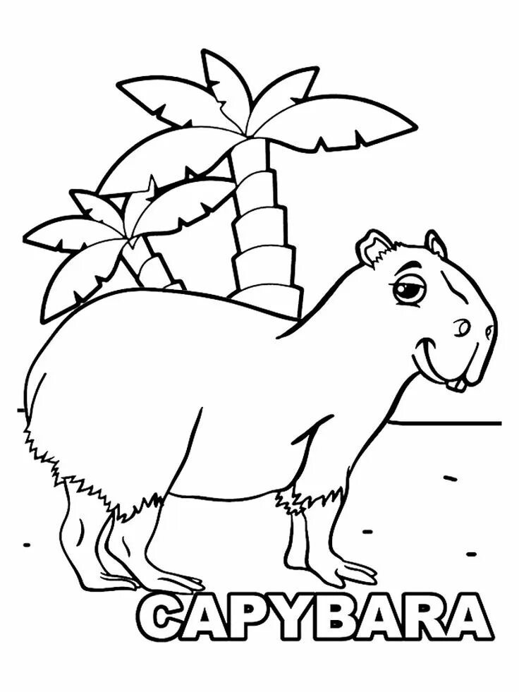 Капибара фото шаблон для раскраски Раскраски Капибара