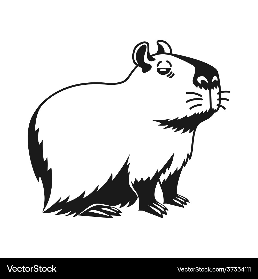 Капибара фото шаблон для раскраски Capybara hand drawn isolated on white background Vector Image