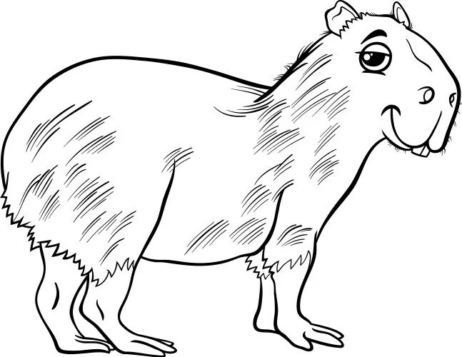 Капибара фото шаблон для раскраски Capybara animal cartoon coloring page Royalty Free Vector