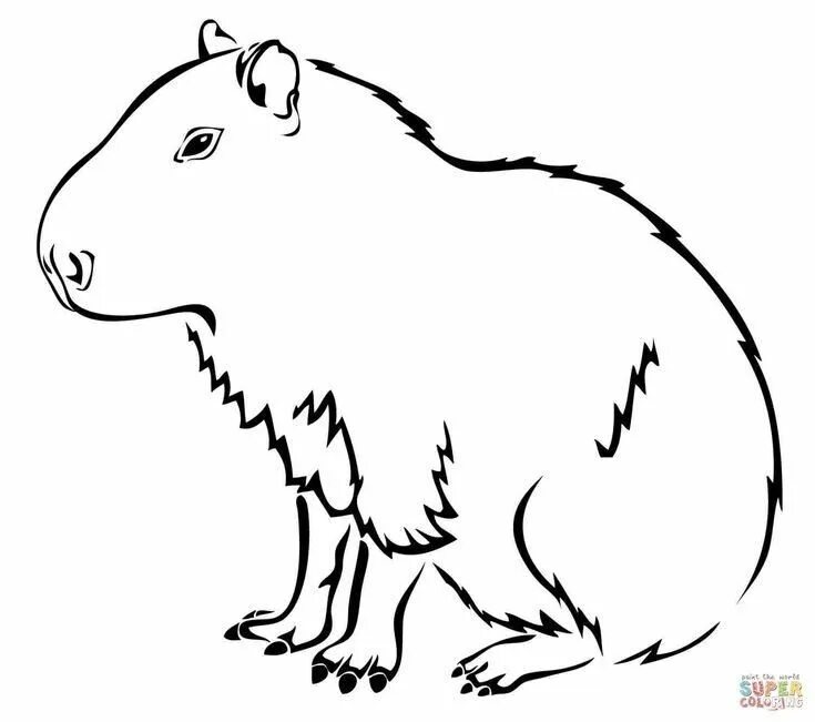 Капибара фото шаблон для раскраски Pin by Luzia on Imprimir Capybara, Coloring pages, Cat tattoo small