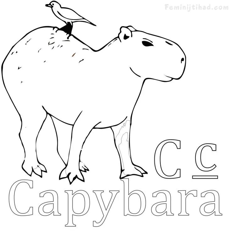 Капибара фото шаблон для раскраски Easy Capybara Coloring Pages PDF - Coloringfolder.com Capybara, Animal coloring 