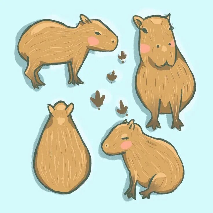 Капибара фото смешные и милые рисунки 59 Likes, 5 Comments - Carbon Figures (@carbonfigures) on Instagram: "no thought