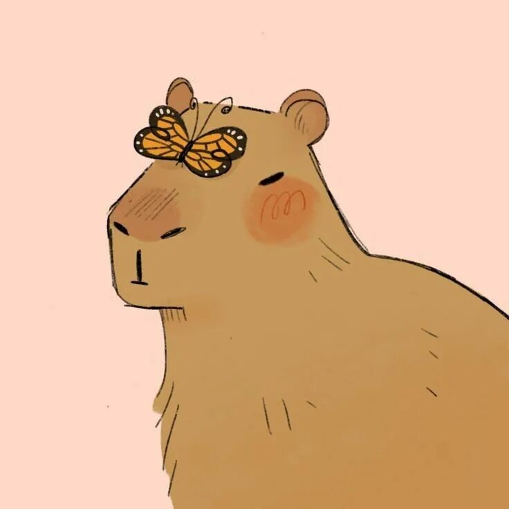 Капибара фото смешные и милые рисунки Cute Capybara Doodles