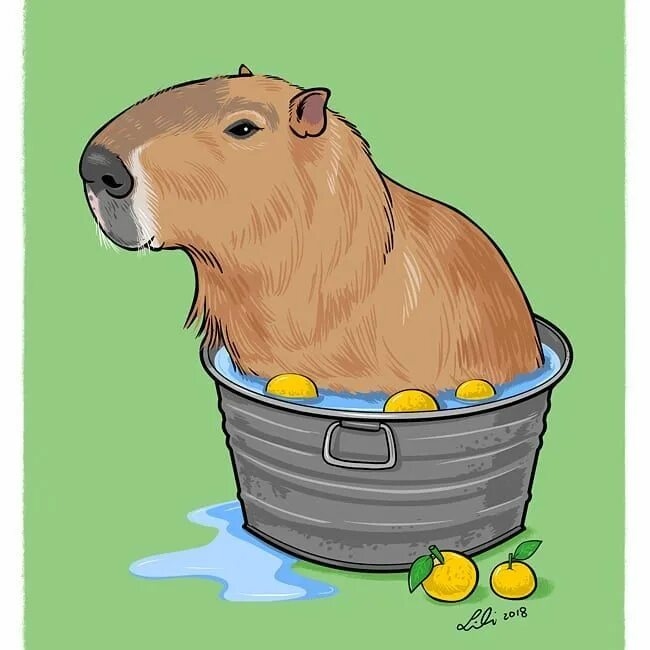 Капибара фото смешные и милые рисунки Lili Chin, Doggie Drawings on Instagram: "Dobby (RIP) the capybara. Commissioned