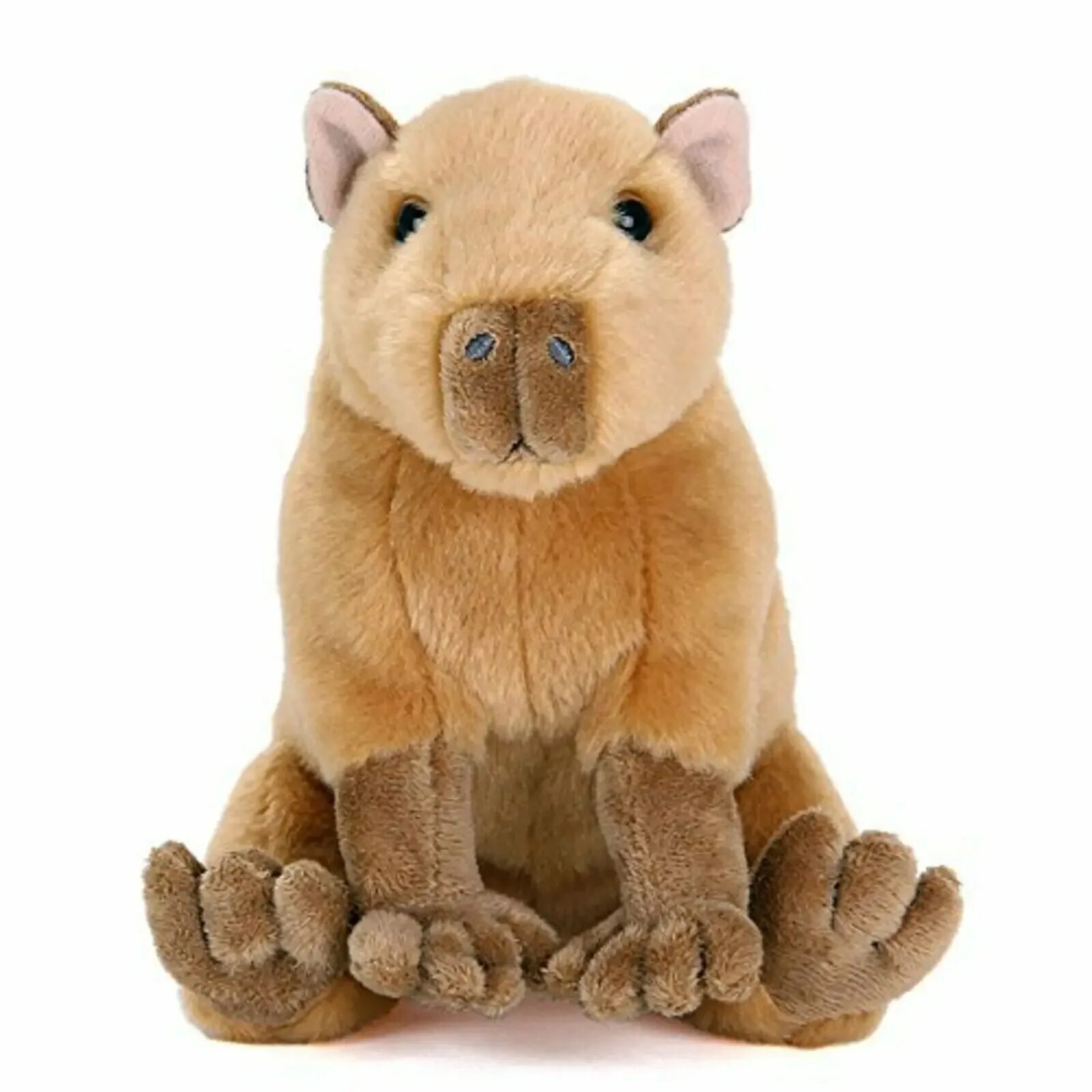 Капибара фото животного игрушка Source Jouet en peluche capybara, animal personnalisé, marron, doux, cm, nouveau