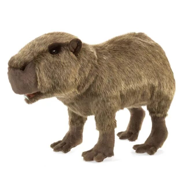 Капибара фото животного игрушка Folkmanis 3098 Capybara Hand Puppet Brown 1 EA for sale online eBay
