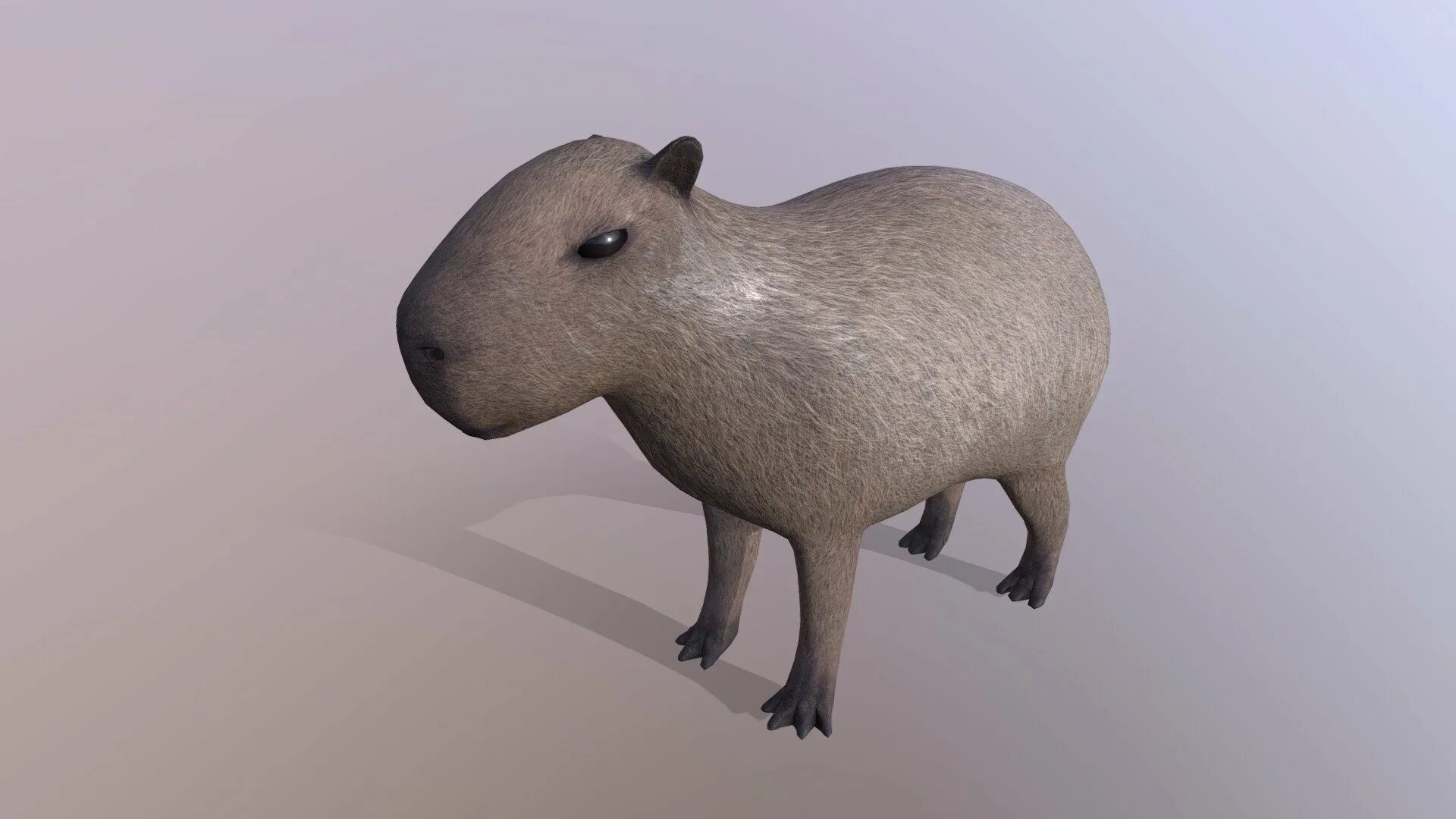 Капибара коммунистическая ул 45 3 фото Capybara - Download Free 3D model by Rectus 445b5a9 - Sketchfab