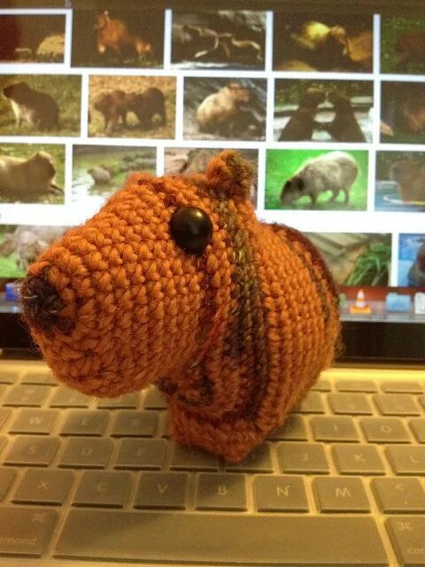 Капибара крючком игрушка фото Sara the Capybara pattern by Jessie Ksanznak Capybara, Pattern, Amigurumi patter