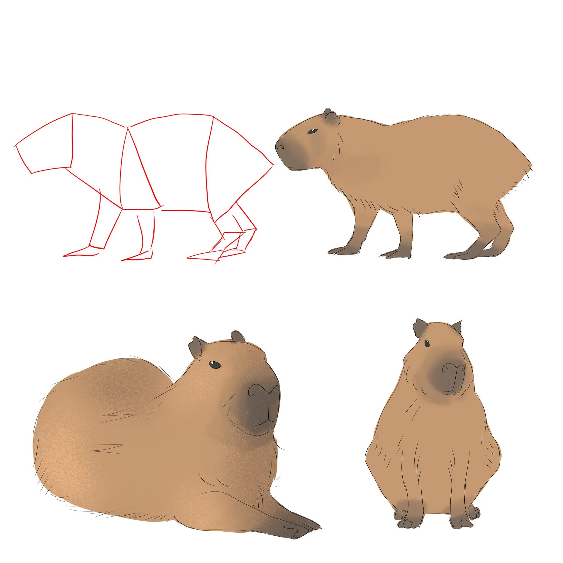Капибара своими руками выкройки ArtStation - Capybara project