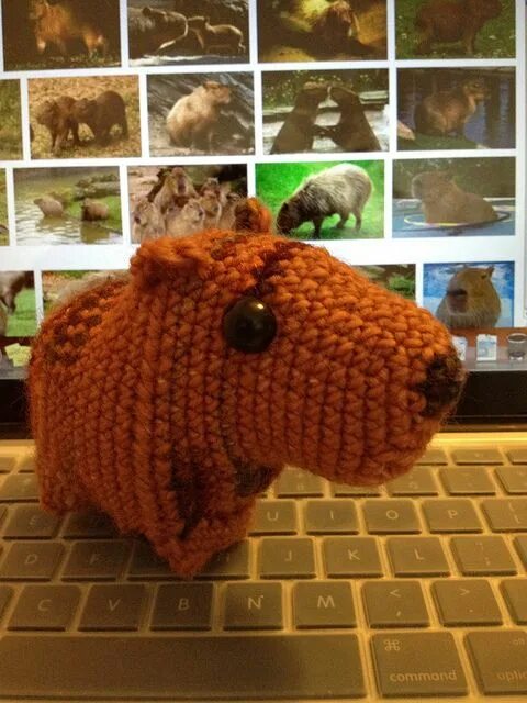 Капибара связанная крючком схема и описание Sara the Capybara pattern by Jessie Ksanznak Capybara, Crochet jungle animals, P