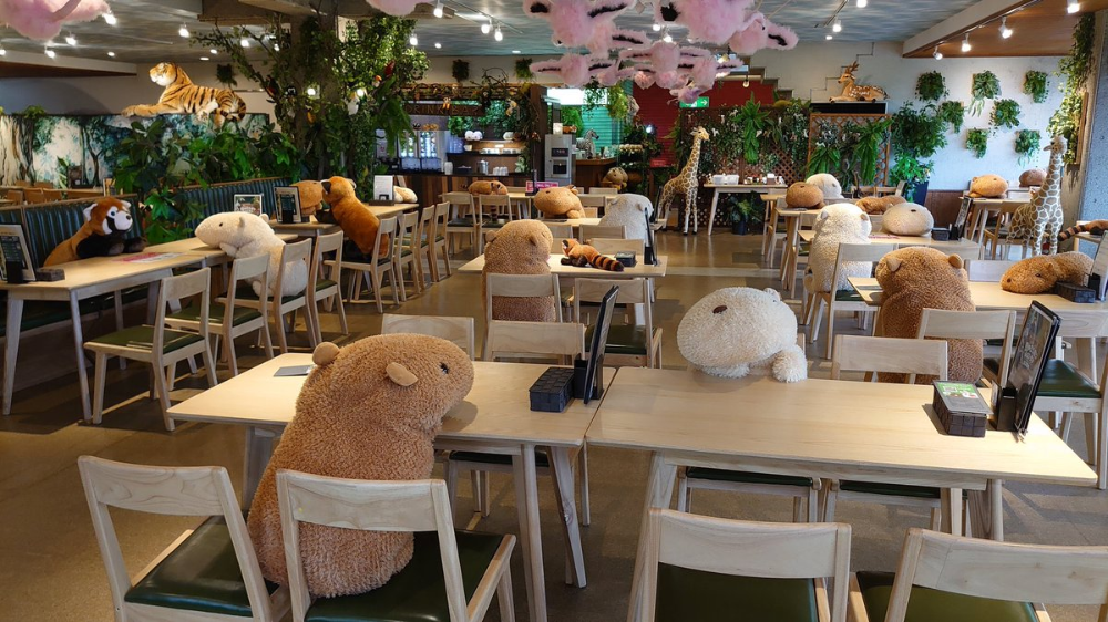 Капибара ул мельникайте 126 стр 3 фото Spoon & Tamago on Twitter Capybara, Zoo, Restaurant