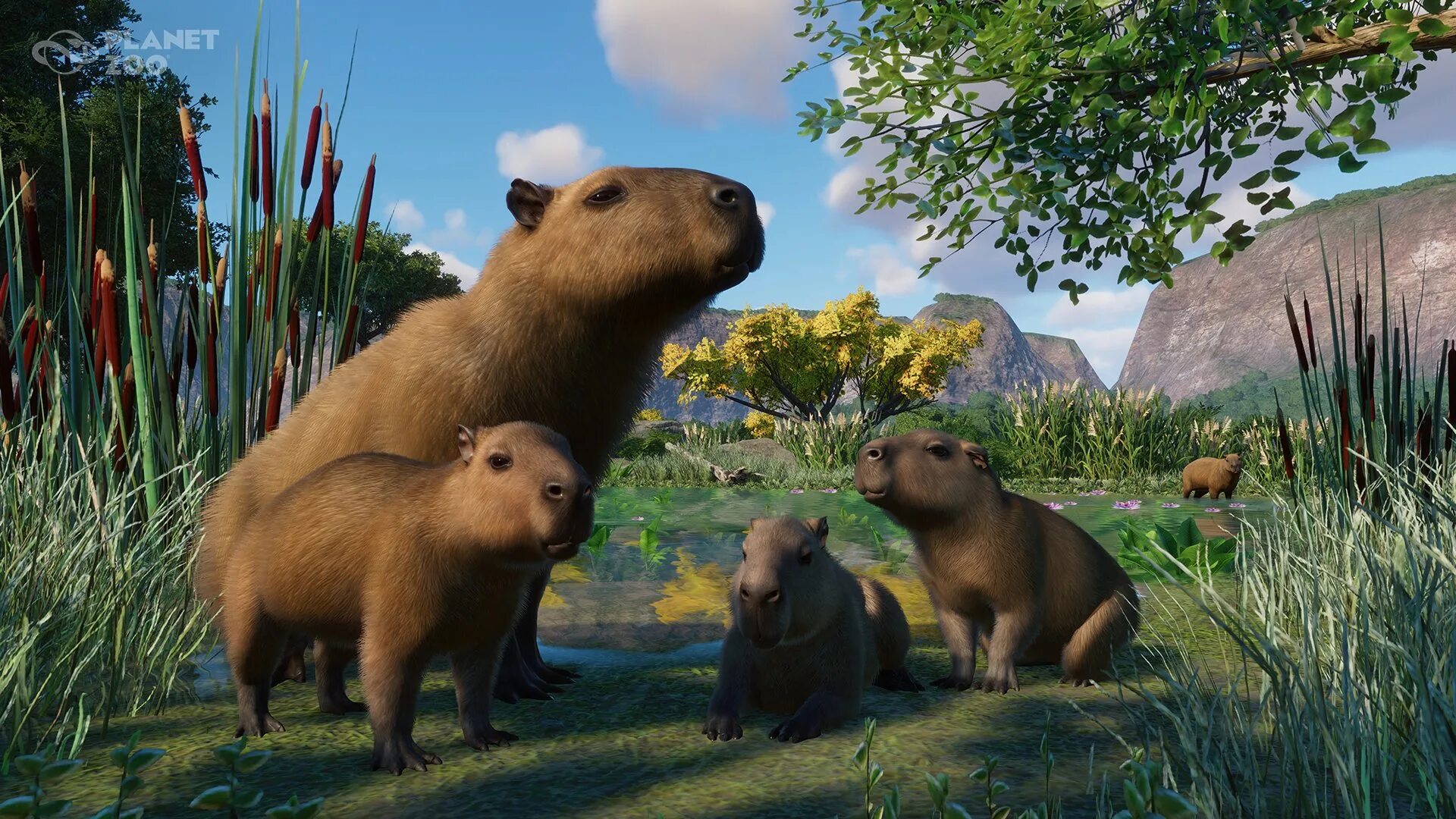 Капибара ул поляничко 4 1 фото Capybara head shape and color detail could be better ? Frontier Forums