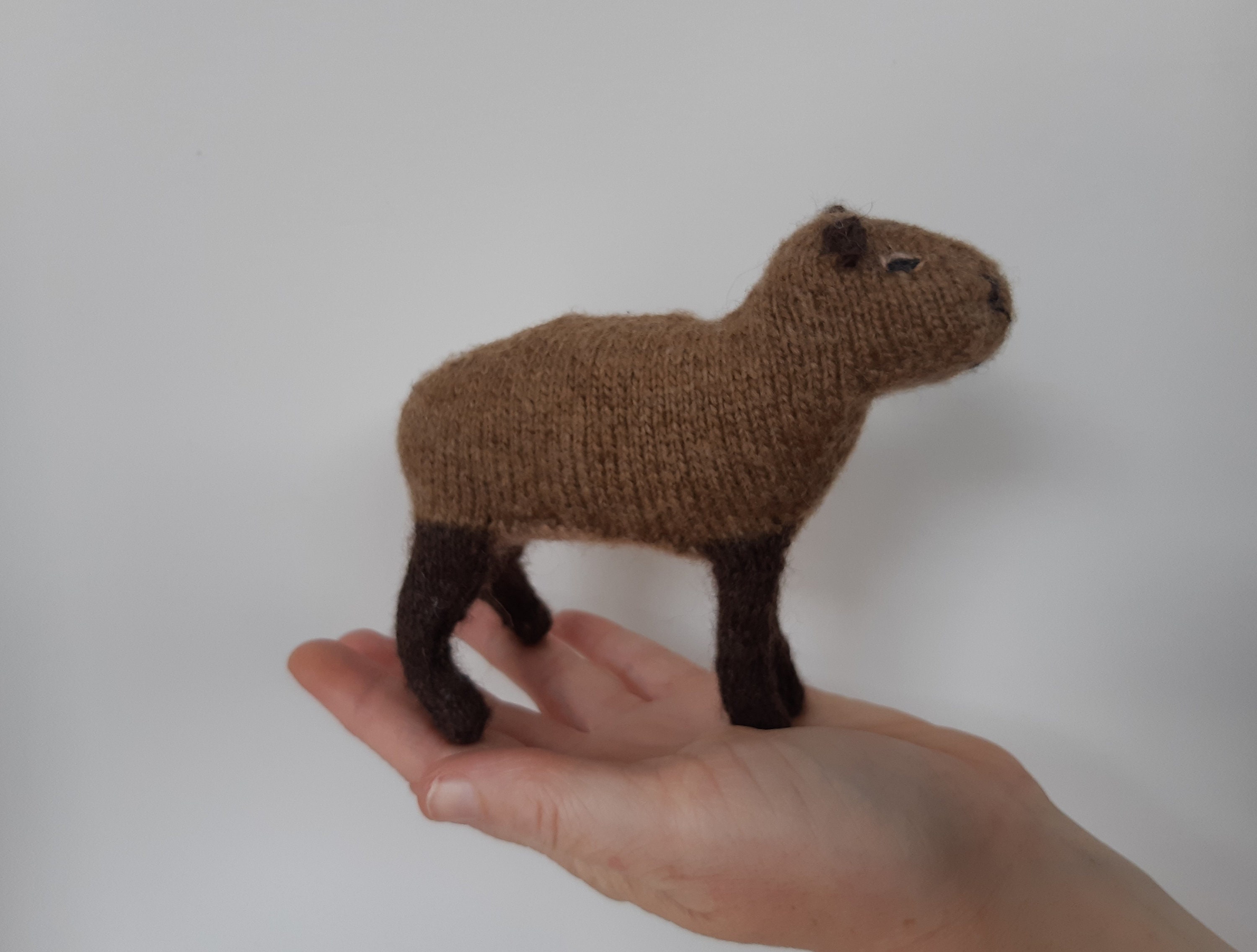 Капибара вязаная крючком схема Capybara knitting pattern Etsy