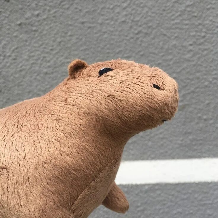 Капибара выкройка мягкая игрушка Pin on give me this