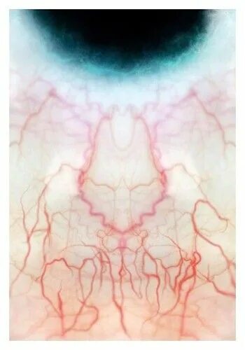 Капилляры в глазах фото so this is an eye thing. in 2019 Human eye, Eyes, Science art