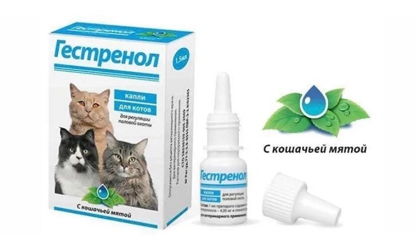Капли для кошек фото Капли в нос для котят - найдено 90 картинок