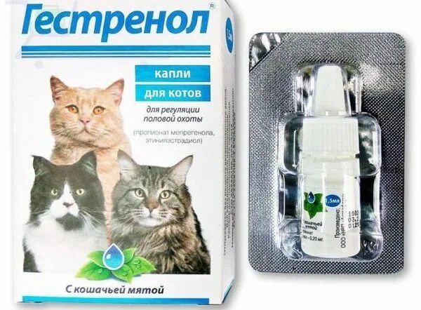 Капли для кошек фото Гестренол для кошек: состав, показания, советы по применению