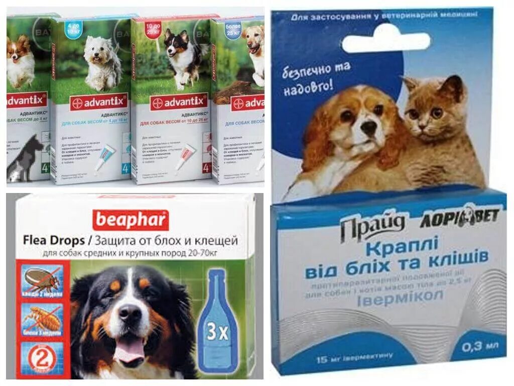 Капли от клещей фото Собакам от блох и клещей что лучше
