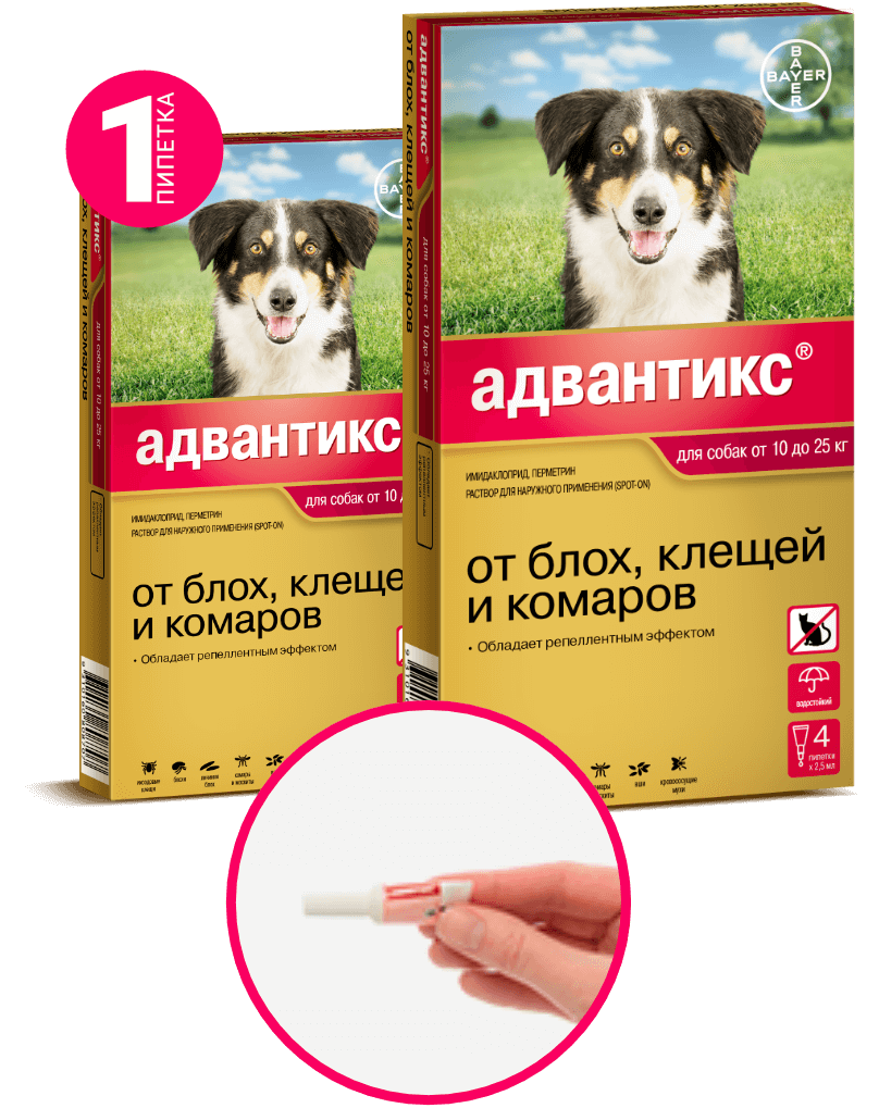 Капли от клещей фото Адвантикс 250 для собак весом 10-25 кг 1 пипетка Первая ветеринарная аптека в Иж