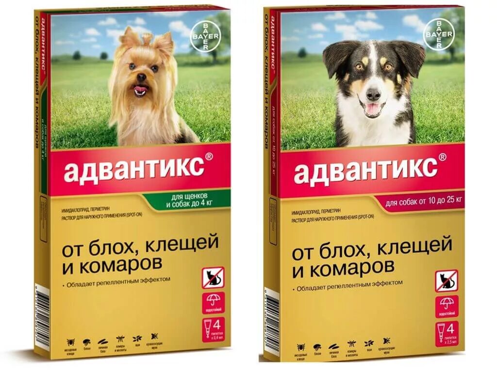 Капли от клещей фото Какие капли от клеща для собак эффективные