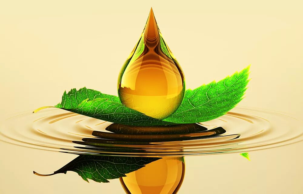 Капля масла фото Leaf With Oil Drop On The Water SCL