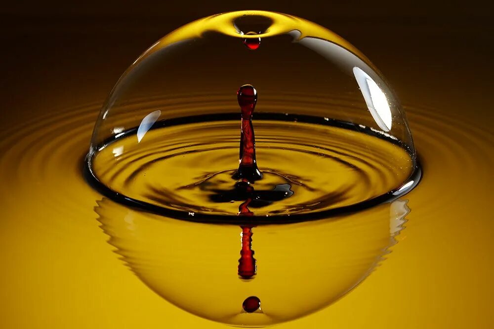 Капля масла на стекле фото 33 Amazing Water Drop Macro Photos - Designbeep