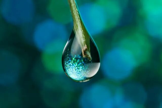 Капля самодельная How Many Molecules Are in a Drop of Water? Water droplets, Droplets, Nature