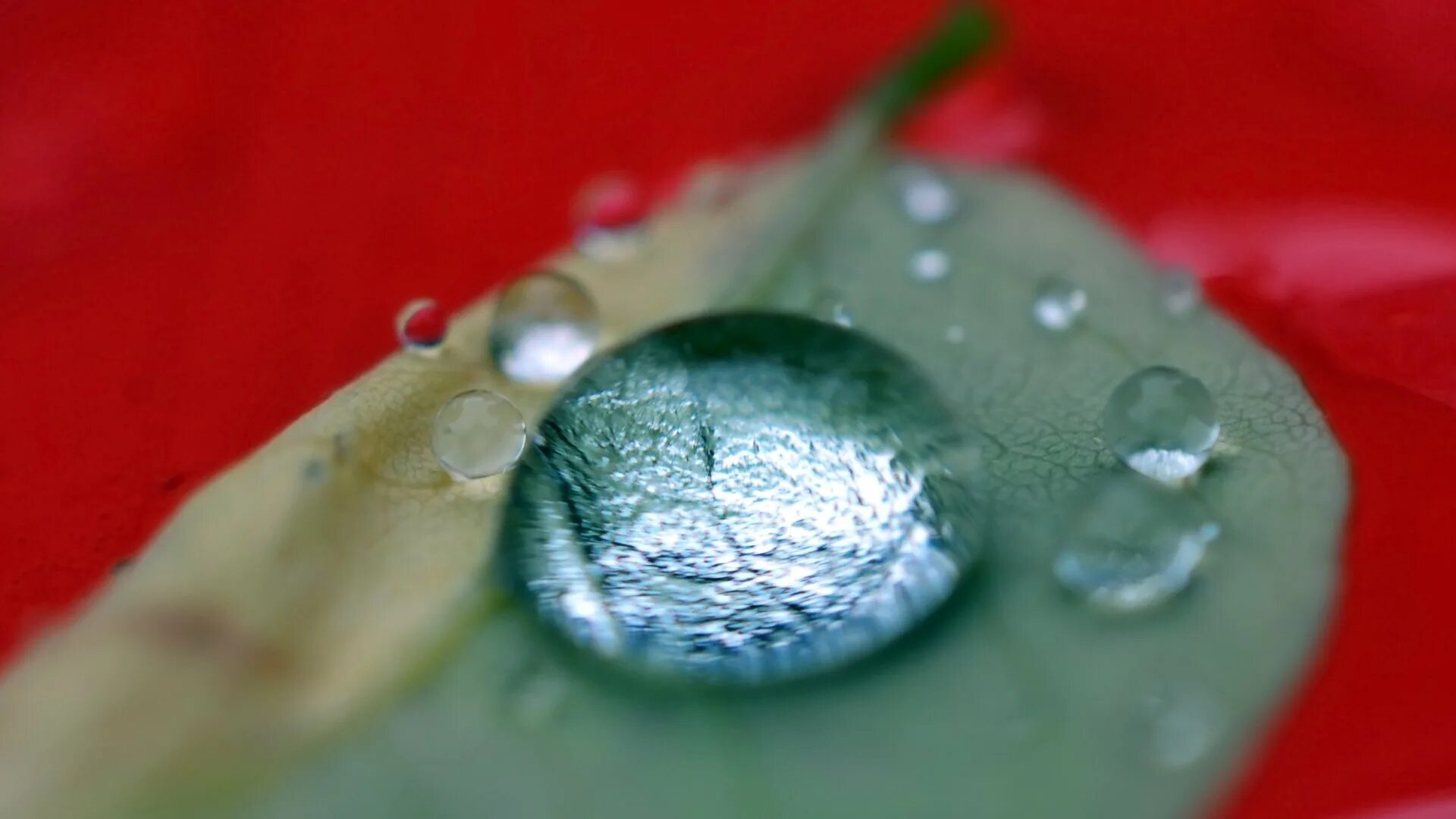 Капля самодельная Free Water Drop high quality background ID:430019 for hd 1920x1080 computer