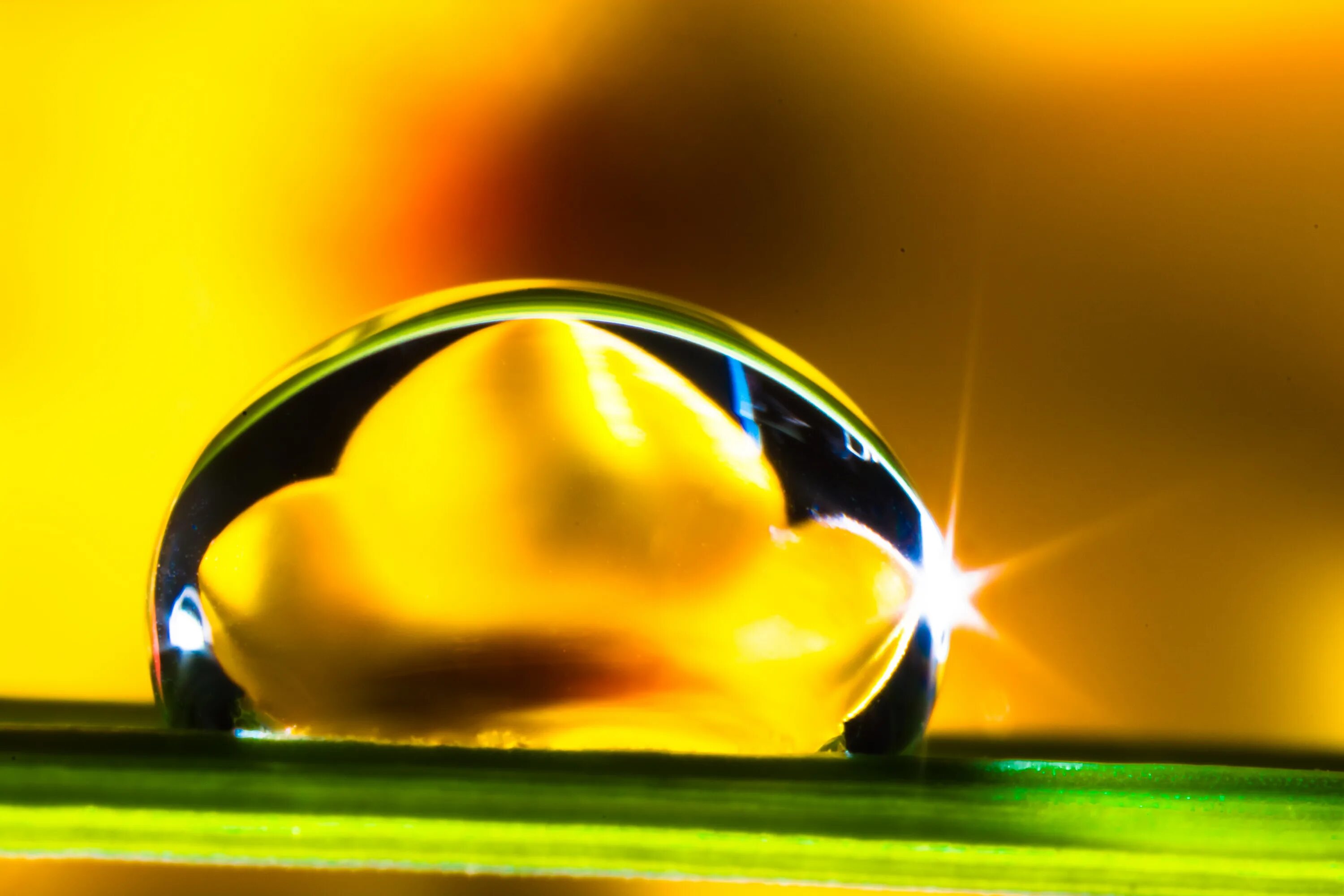 Капля солнца фото Free Images : blossom, light, sunlight, bloom, reflection, yellow, drip, close u