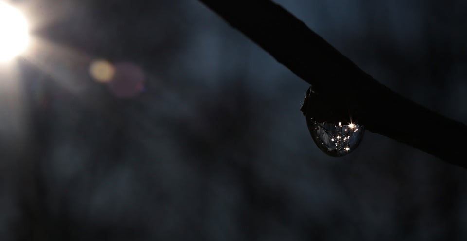 Капля солнца фото LAMINATED POSTER Drip Sun Raindrop Dew Light Nature Drop Of Water Poster Print 2