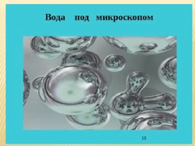 Капля воды под микроскопом фото Презентация по теме "Вода в жизни человека" - начальные классы, презентации