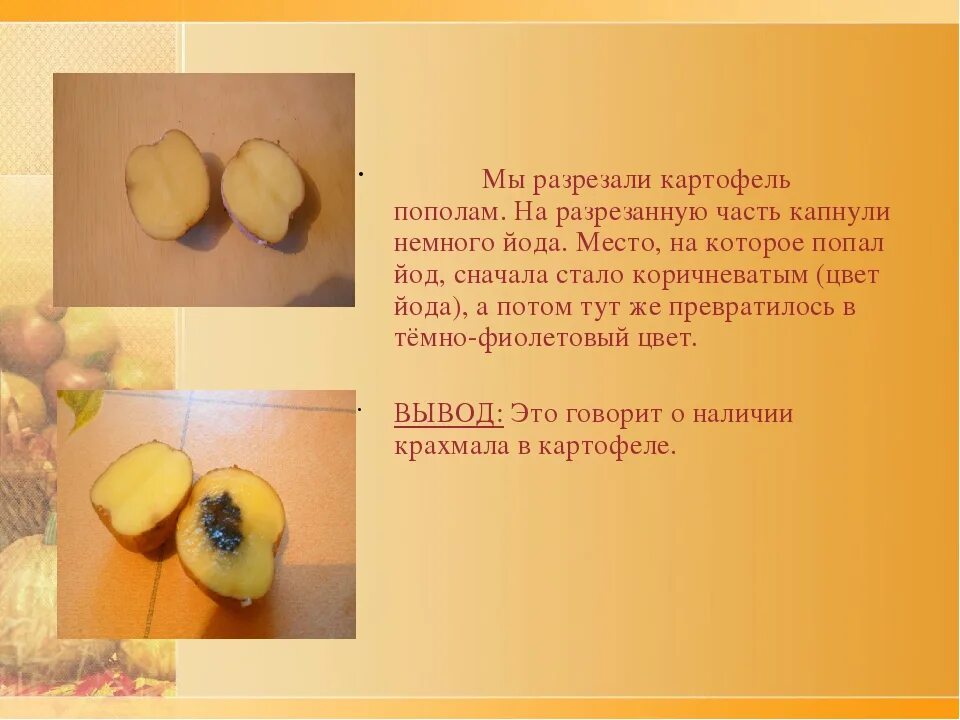 Капля йода на картофель фото В яблоке есть крахмал: найдено 67 изображений