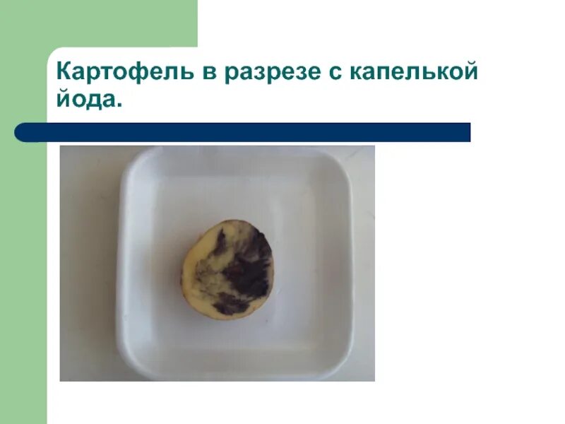 Капля йода на картофель фото Капелька йода