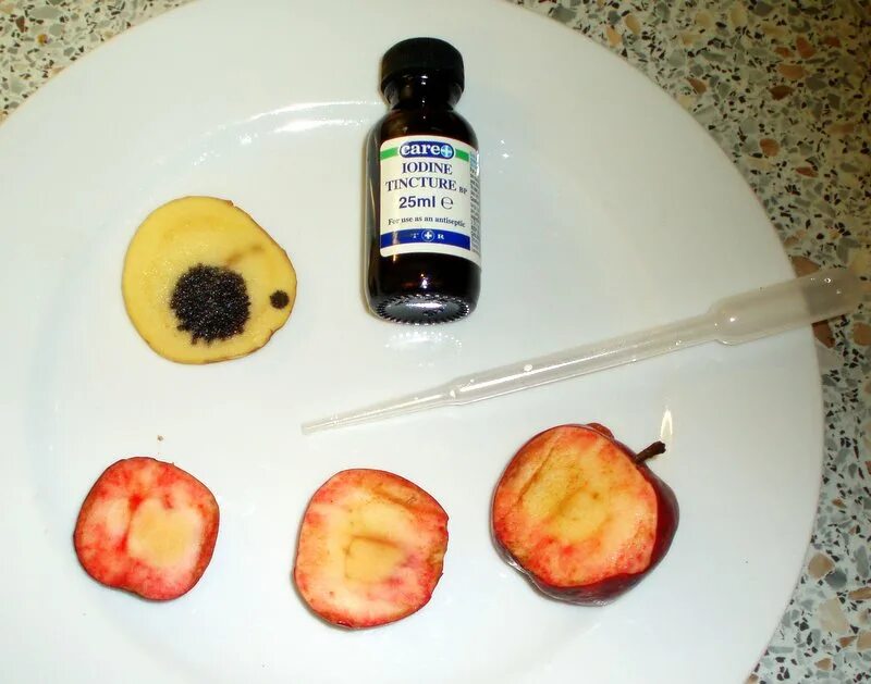 Капля йода на картошке фото Does Iodine Tincture Dropped On Starch Turn Blue Sale Online xn--h1aahyg1df.xn--