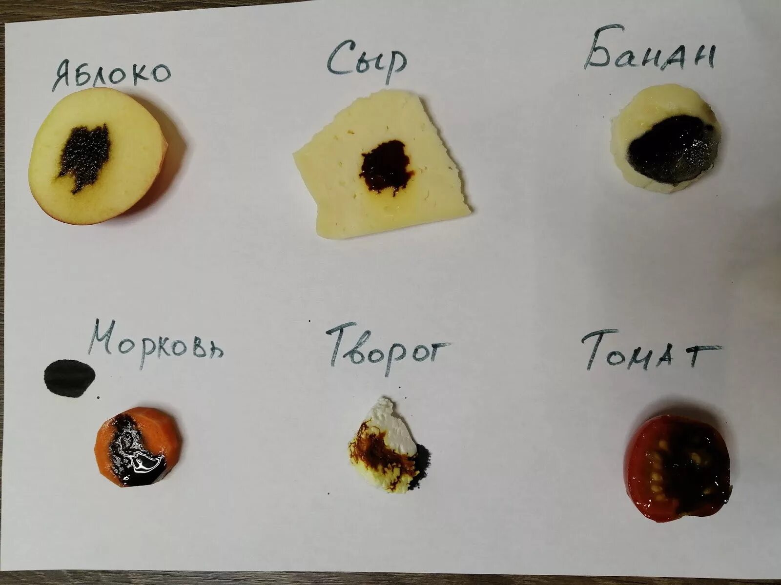 Капля йода на яблоко фото Крахмал в яблоке - CoffeePapa.ru