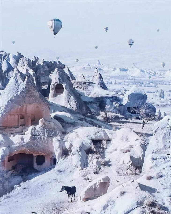 Каппадокия в декабре фото турция цена 2024 15 Jaw-Dropping Photos of a Balloon Flying Paradise (With images) Cappadocia, Vi