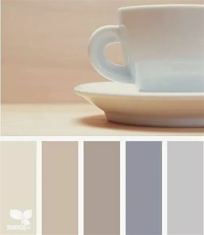 Капучино сочетание в интерьере Pin on Couleurs