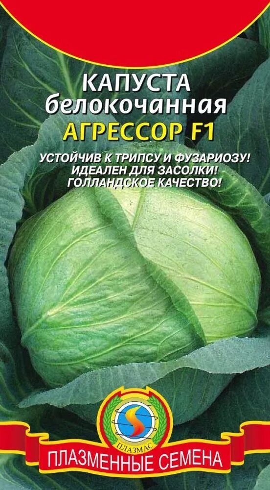 Капуста агрессор фото Капуста Плазменные семена KapustaBKAgressorF1 - купить по выгодным ценам в интер
