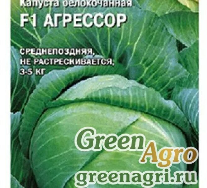 Капуста агрессор фото Купить Семена пакетированные Капуста Агрессор Гавриш Ц,Гавриш, купить по НИЗКОЙ 
