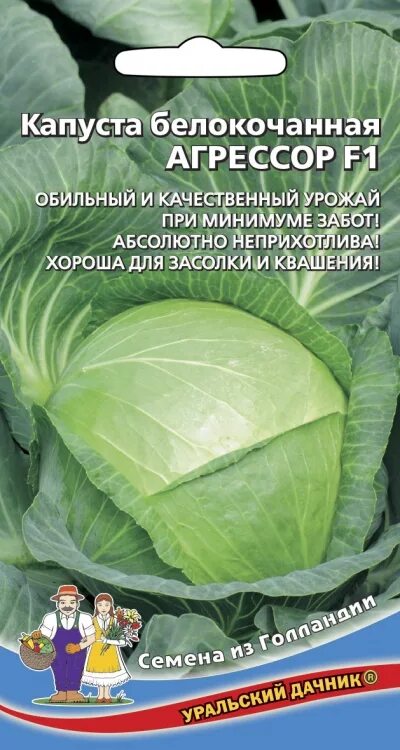 Капуста агрессор описание сорта фото Капуста б/к Агрессор F1 12шт/10