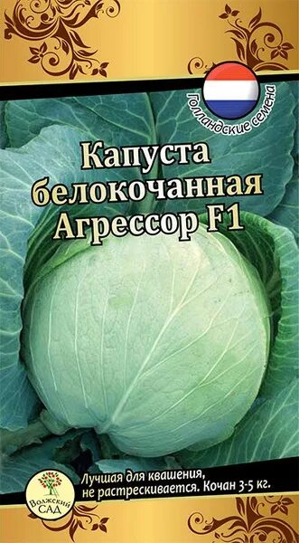 Капуста агрессор описание сорта фото Капуста Волжский сад Капуста Агрессор - купить по выгодным ценам в интернет-мага