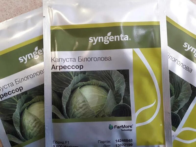 Капуста агрессор описание сорта фото отзывы садоводов Капуста Агрессор F1: характеристика и описание гибридного сорта с фото