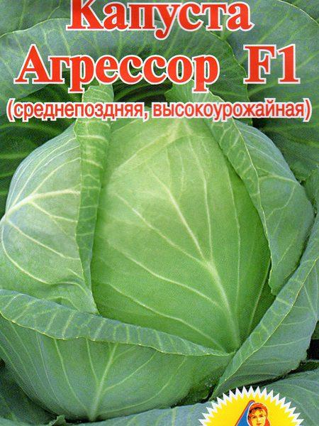 Капуста агрессор отзывы фото Капуста б/к Агрессор F1 Ч