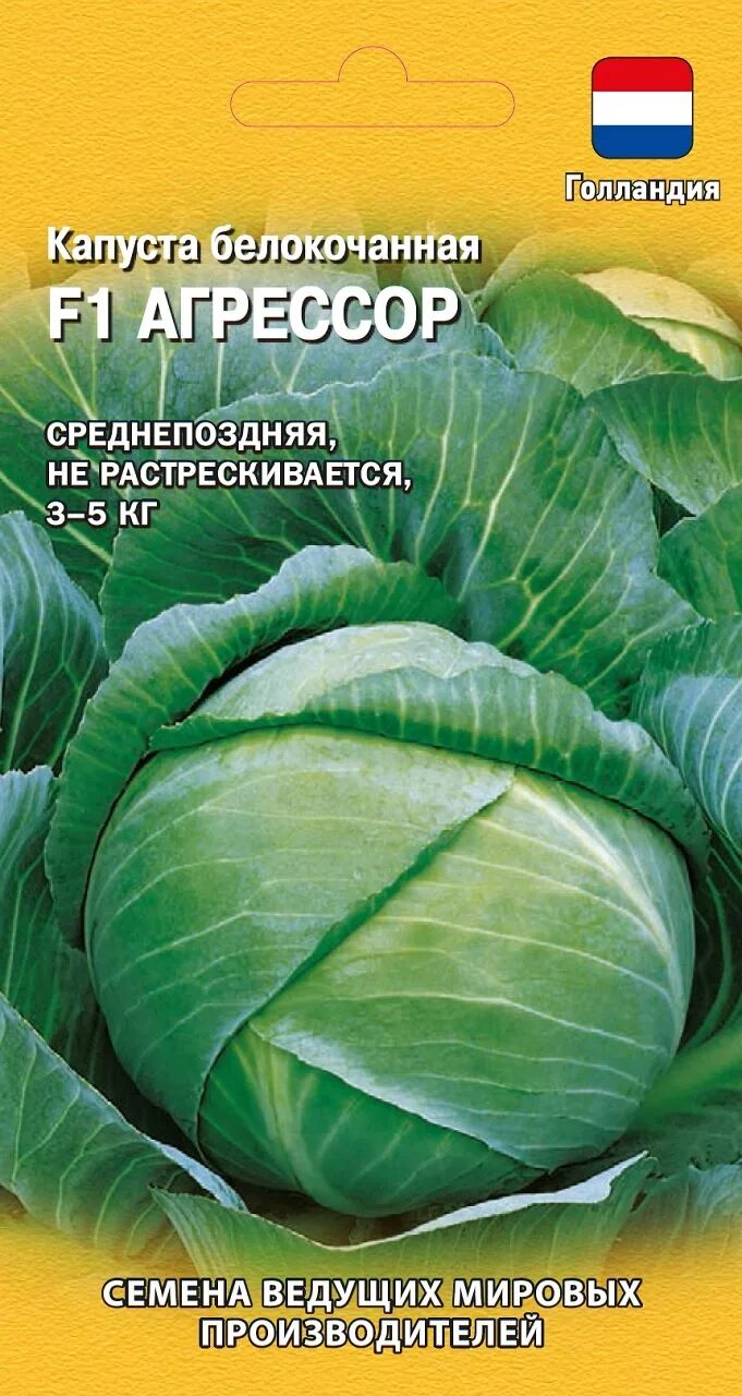 Капуста агрессор отзывы фото ✔ Семена Капуста белокочанная Агрессор F1, 10шт, Ведущие мировые производители, 