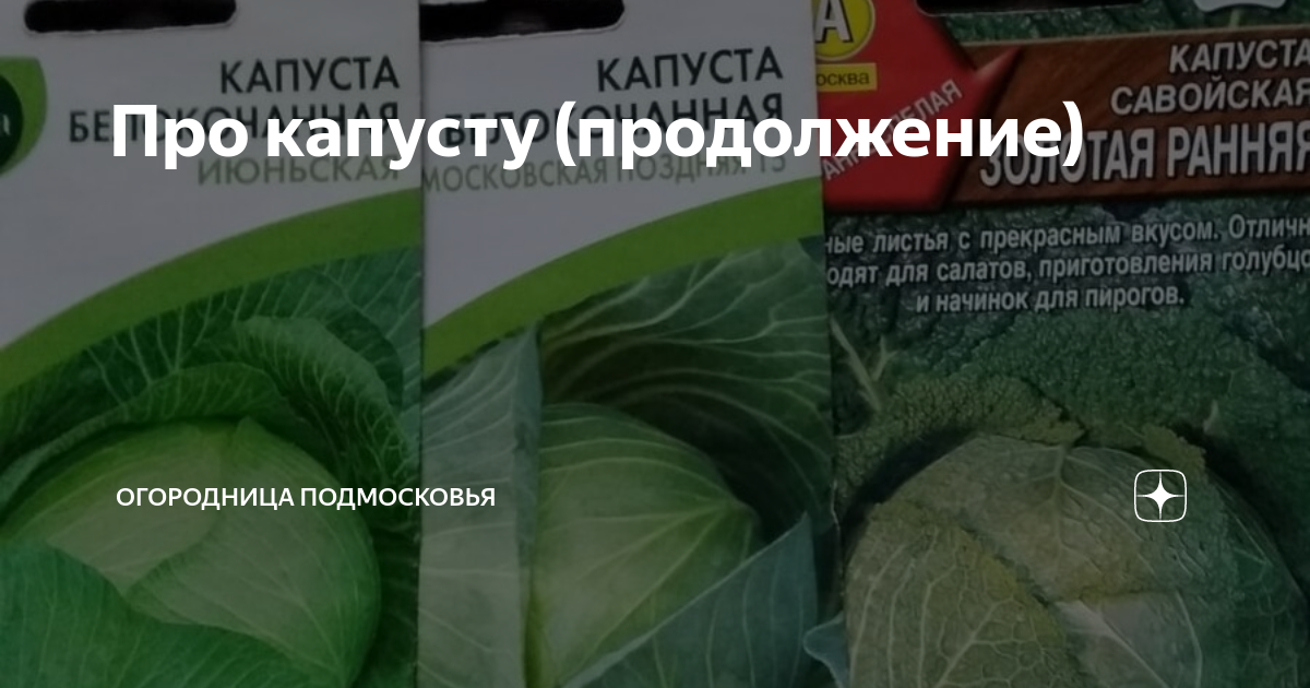 Капуста аллигатор описание сорта фото отзывы Про капусту (продолжение) Огородница Подмосковья Дзен